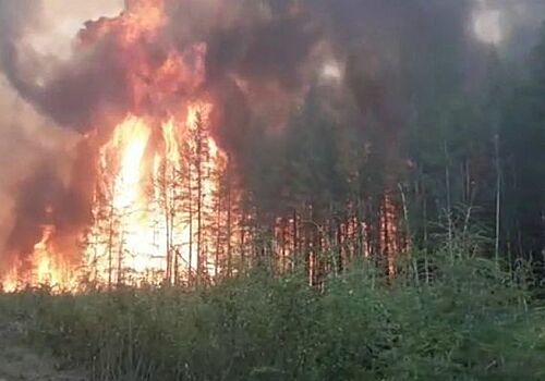 Сибирь в огне. Почему продолжают гореть леса в Сибирском федеральном округе?