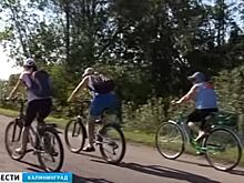 Веломаршрут почти в 34 км проложат вдоль побережья Балтики в Калининградской области