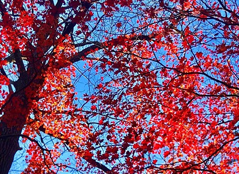 Антициклон принесет в Приморье похолодание и ясную погоду