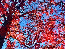 Антициклон принесет в Приморье похолодание и ясную погоду