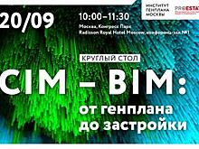 СIM-BIM: от генплана до застройки