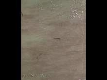 Серфер покатался на доске и снял на видео кишащий акулами океан