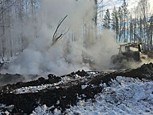 В лесах под Екатеринбургом обнаружили уже 12 очагов торфяных пожаров