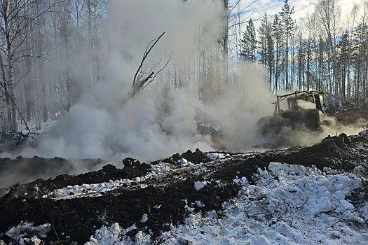 В лесах под Екатеринбургом обнаружили уже 12 очагов торфяных пожаров