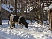 Россиян обязали осваивать участки в течение трёх лет с 1 марта