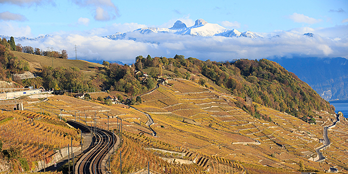 Террасные виноградники Лаво в Швейцарии