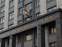 В Госдуме ответили экс-главе узбекской диаспоры на идею заместить русских