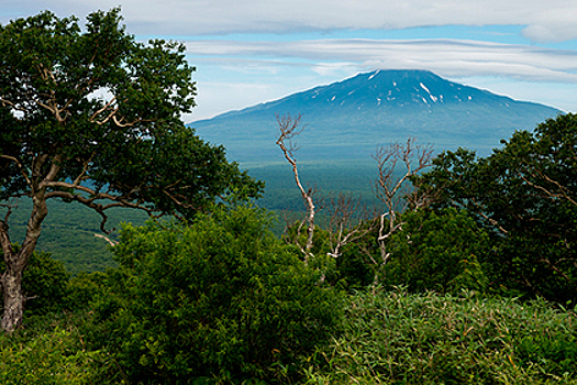 Авиабилеты на Курилы подешевеют вдвое