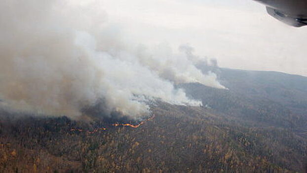 Красноярский край расширил зону активной борьбы с лесными пожарами на 3 млн га