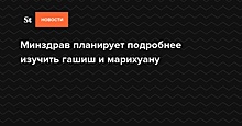 Минздрав предложил увеличить квоту ввоза марихуаны для исследований