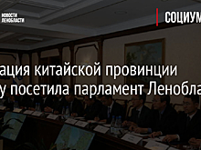 Делегация китайской провинции Цзянсу посетила парламент Ленобласти