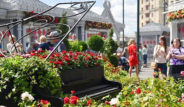 Более 4 тыс. кустов крымских роз расцветут на площади Революции в дни фестиваля «Цветочный джем»