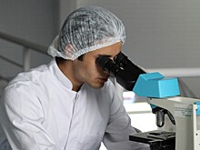 Создана технология, позволяющая улучшить восстановление поврежденных тканей