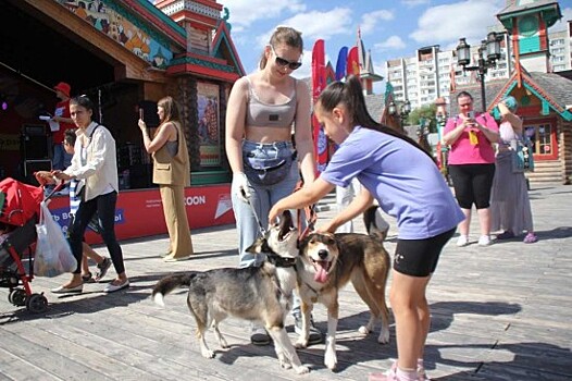 Как ухаживать за собакой? Жители ЮЗАО оценили активности фестиваля «Неспальный район»