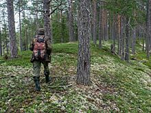 В России 14 октября отмечают День работников заповедного дела