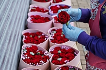 Предсказано резкое подорожание цветов в Москве