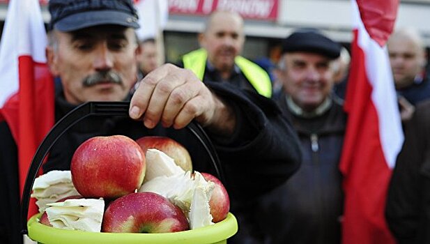 Польские яблоки нашли новый "путь" в Россию