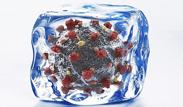 Глобальное потепление приведет к новой пандемии?