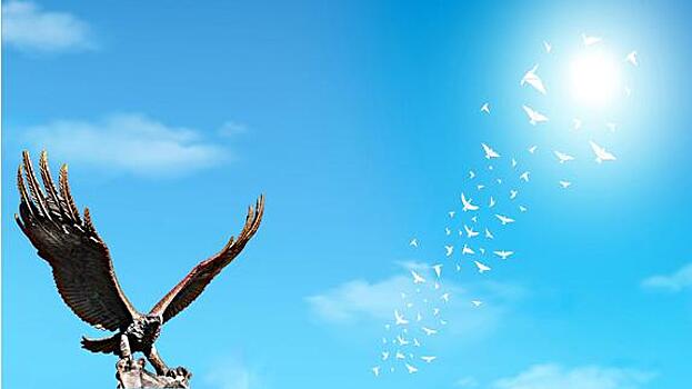 Челябинский ветеран собрал базу данных о погибших в Чечне