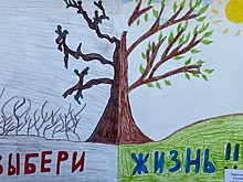 В Ростовской области назвали победителей конкурса рисунков о здоровом образе жизни