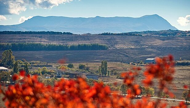 Эксперты рассказали, в чем Крым лидирует среди черноморских курортов