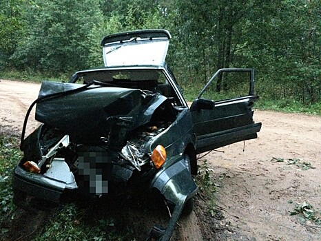 В Тверской области две машины вылетели в кювет: оба водителя погибли