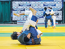В Самаре завершился чемпионат региона по дзюдо