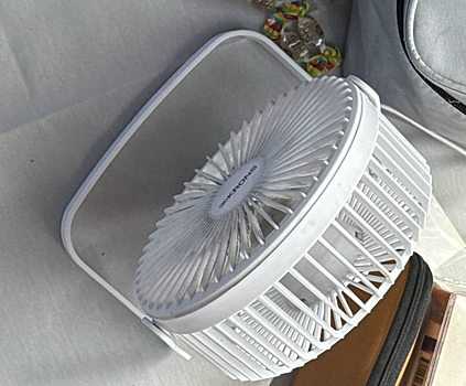 В поезде в Сочи, пассажирке предложили вентилятор вместо кондиционера