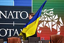 Глава нацобороны Литвы пообещал поднять вопрос членства Украины в НАТО на саммите
