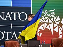 Глава нацобороны Литвы пообещал поднять вопрос членства Украины в НАТО на саммите