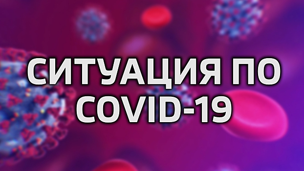 В Калининградской области зафиксировали 29 новых случаев коронавирусной инфекции