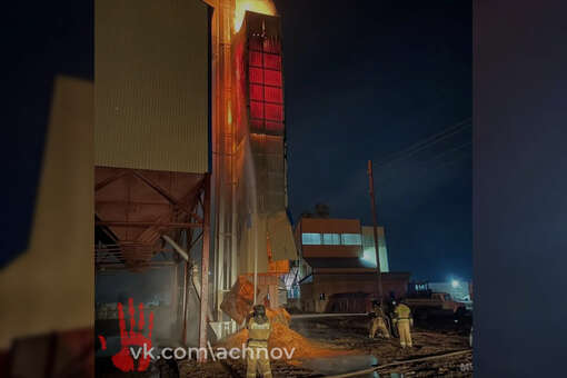 В челябинском зернохранилище сгорело 15 тонн семечек