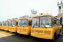 Волгоградская область получит 54 новых школьных автобуса