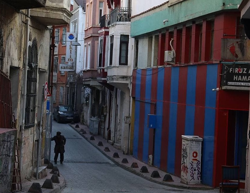 Как я выгуливала чужих собак в Стамбуле