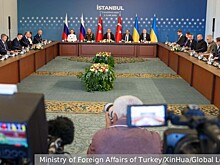 Лукьянов: Ход переговоров в Стамбуле контрастирует с внешним ажиотажем
