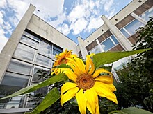 Культурный центр «Меридиан» отпразднует 40-летие с момента своего открытия