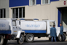 Россельхознадзор ограничит поставку молочной продукции с белорусского предприятия