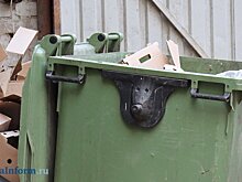 Перечислены контейнерные площадки, которые отремонтируют в 2024 году