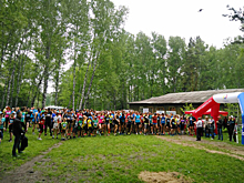 После забега — душ в лесу: две сотни новосибирцев в шортах пробежали по Академгородку