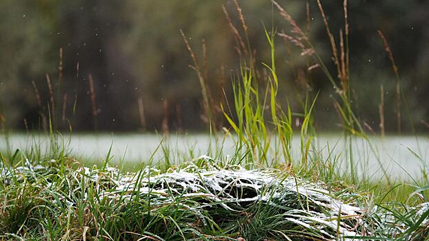 О заморозках на большей части страны предупредили россиян