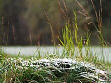 О заморозках на большей части страны предупредили россиян