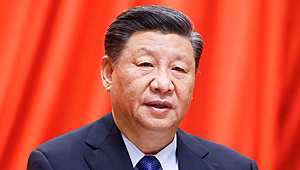 Китай проигнорировал желание Зеленского лично поговорить с Цзиньпином