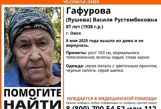 В Омске вторые сутки не могут найти 87-летнюю бабушку