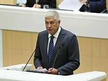 Матвиенко поздравила Колокольцева с Днем сотрудника органов внутренних дел