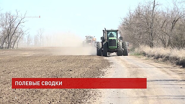 Весенне-полевые работы на Дону в самом разгаре