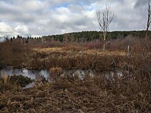 В Ижевске продолжают искать женщину, которая ушла из дома в декабре прошлого года