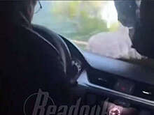 В Подмосковье мигрант похитил девушку и задавил парня, приехавшего ее спасать