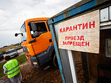 Плавное изменение цен: как калининградский рынок отреагировал на вспышку АЧС