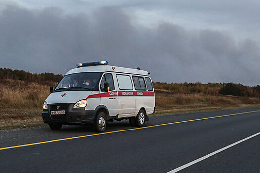 Число пострадавших из-за взрывов под Рязанью выросло до 13