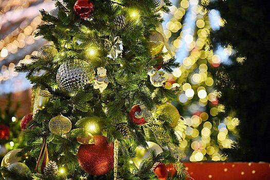 Портал потребителя поможет выбрать пушистую елку и новогодние подарки